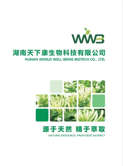 Comext Fabricante Muestra gratis Medicina tradicional china Herbal Organic HPLC 10% 80% Ginsenosides Polysaccharides Powder Red Korean Panax Ginseng Extract