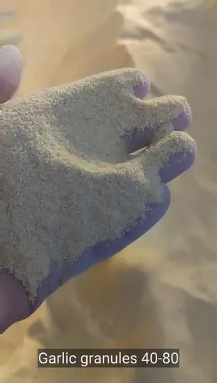 Productos vegetales asados Gránulos de ajo asado con especias