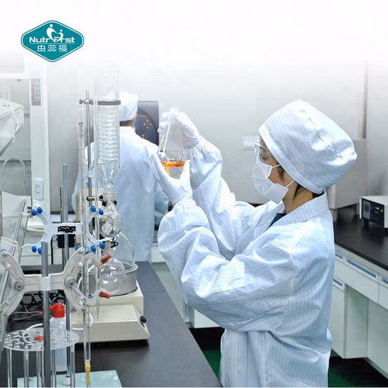 Extracto de planta de hongo Hericium Erinaceus orgánico Extracto de melena de león Polvo de hierbas de hongo con solución soluble en agua para la inmunidad