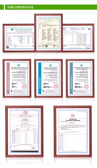 100% jugo de vegetales orgánicos solubles en agua Apium Graveolens polvo instantáneo/jugo de apio en polvo