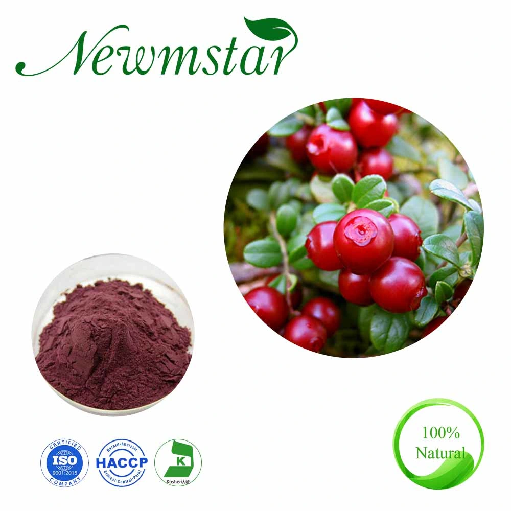 ISO & Halal Certified Herbal Extract Cranberry Juice Concentrate Cranberry Powder Cranberry Extract with PAC 25%