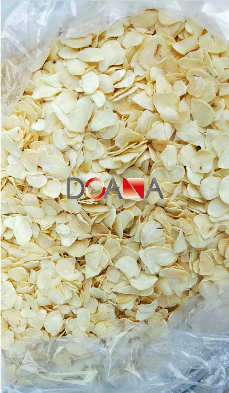 Kinds of Mesh Size Dehydrated Garlic Granules