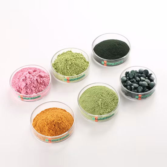 Polvo de vegetales orgánicos naturales puros a precio mayorista